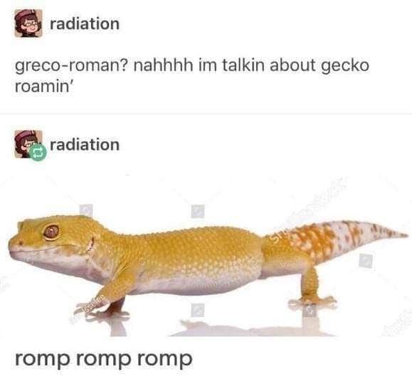 greco-roman? nahhhh im talkin about gecko roamin'