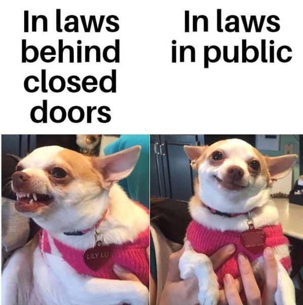 bridal memes. In laws behind closed doors In laws in public