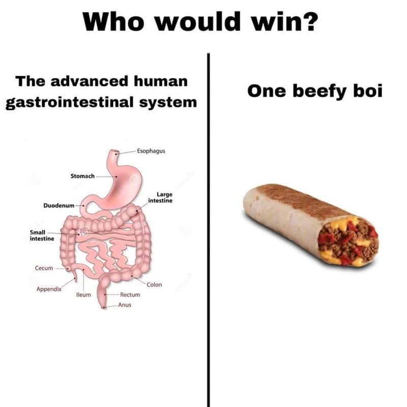 burrito memes, food memes, Mexican food humor, funny burrito quotes, culinary memes, eating memes, taco jokes, nacho memes, burrito jokes, burrito humor