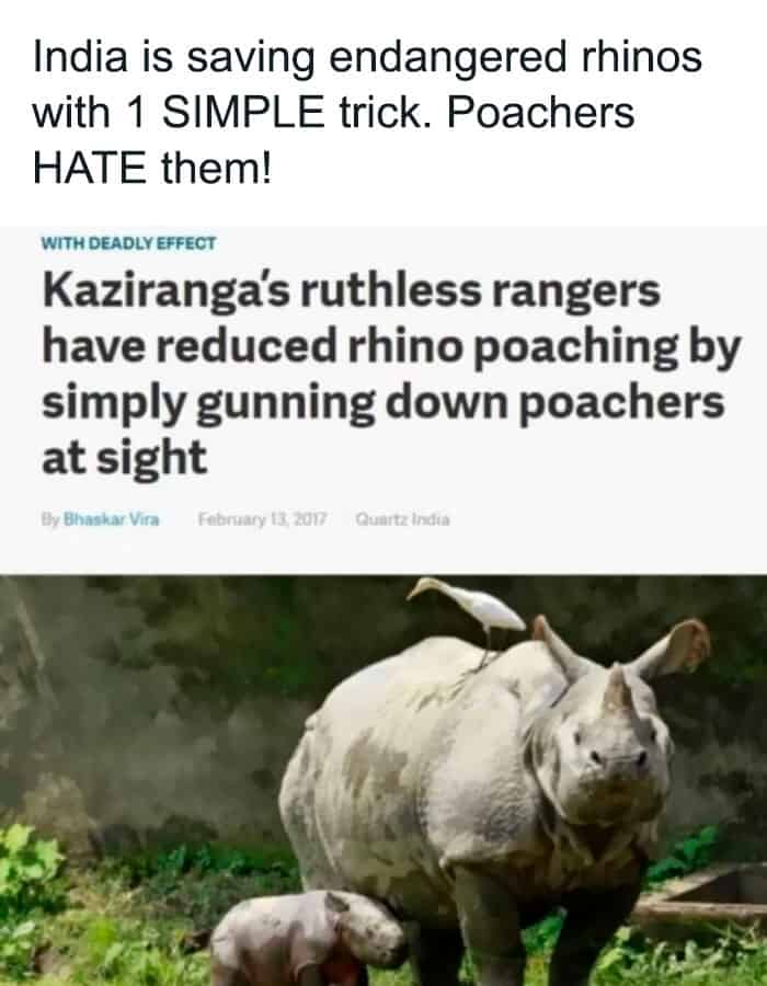 India is saving endangered rhinos with 1 SIMPLE trick. Poachers HATE them!