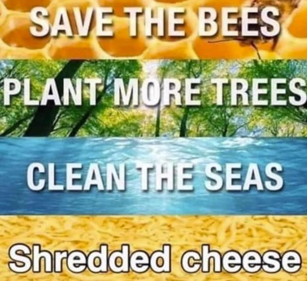 cheese memes. SAVE THE BEES PLANT MORE TREES CLEAN THE SEAS Shredded cheese