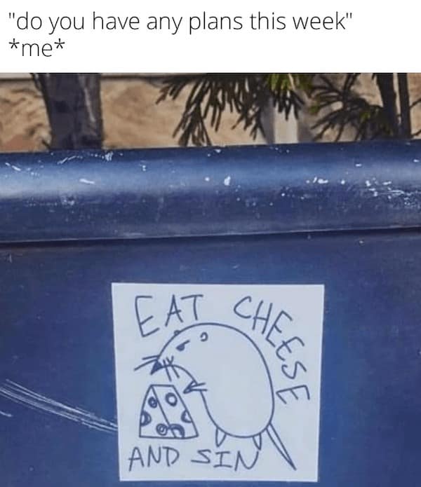 cheese memes. "do you have any plans this week" *me*