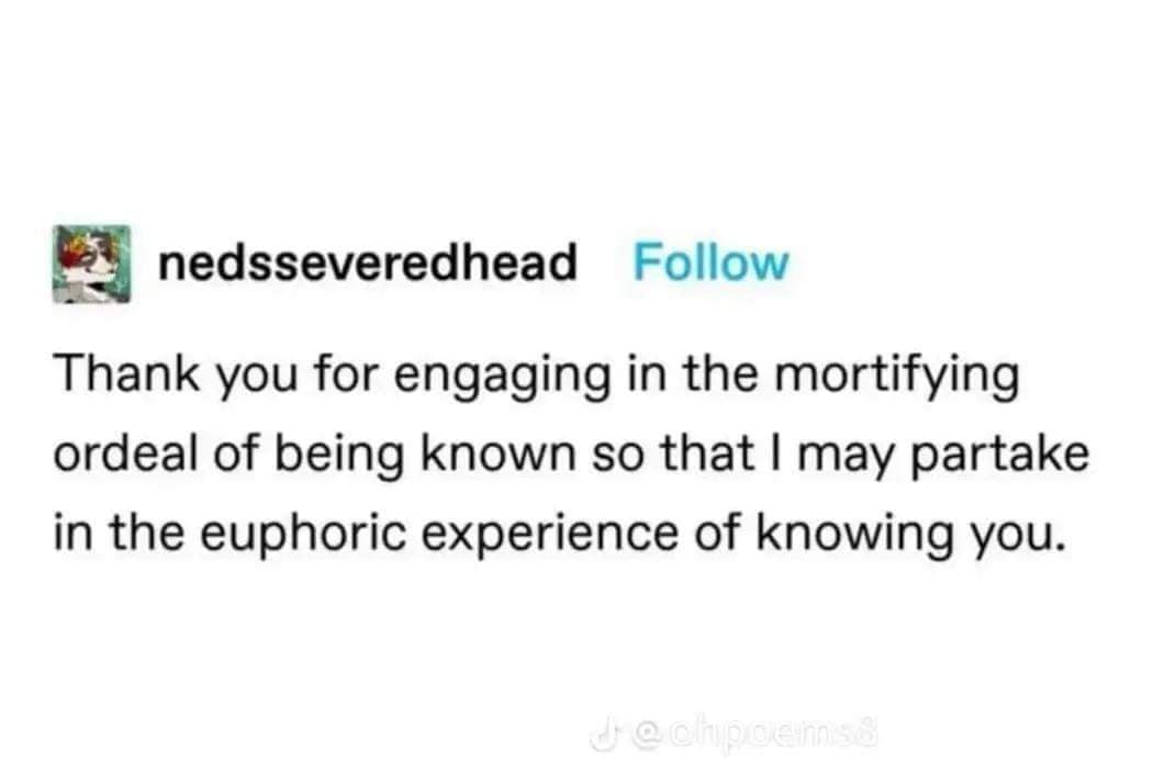 classic memes, vintage memes, viral tweets, digital humor, old memes, best memes, timeless memes, iconic tweets, internet sensations