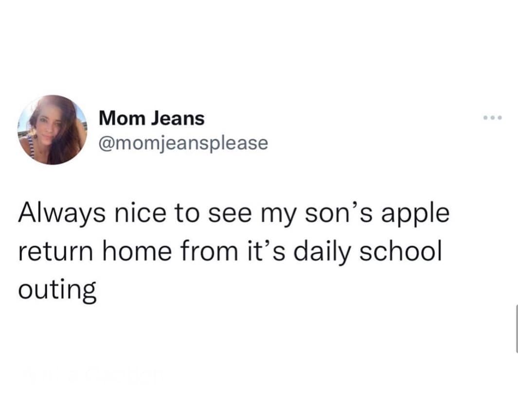 vintage internet humor, internet nostalgia, viral sensations, old memes, retro internet jokes, digital throwbacks