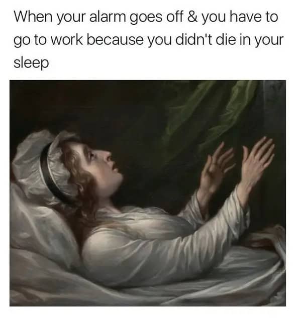 classical art memes, renaissance memes, Renaissance humor, Baroque art jokes, ancient artwork memes, art history memes