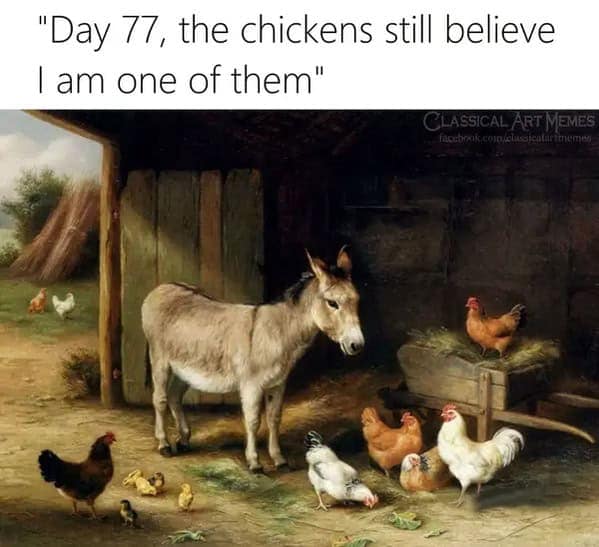 classical art memes, renaissance memes, Renaissance humor, Baroque art jokes, ancient artwork memes, art history memes