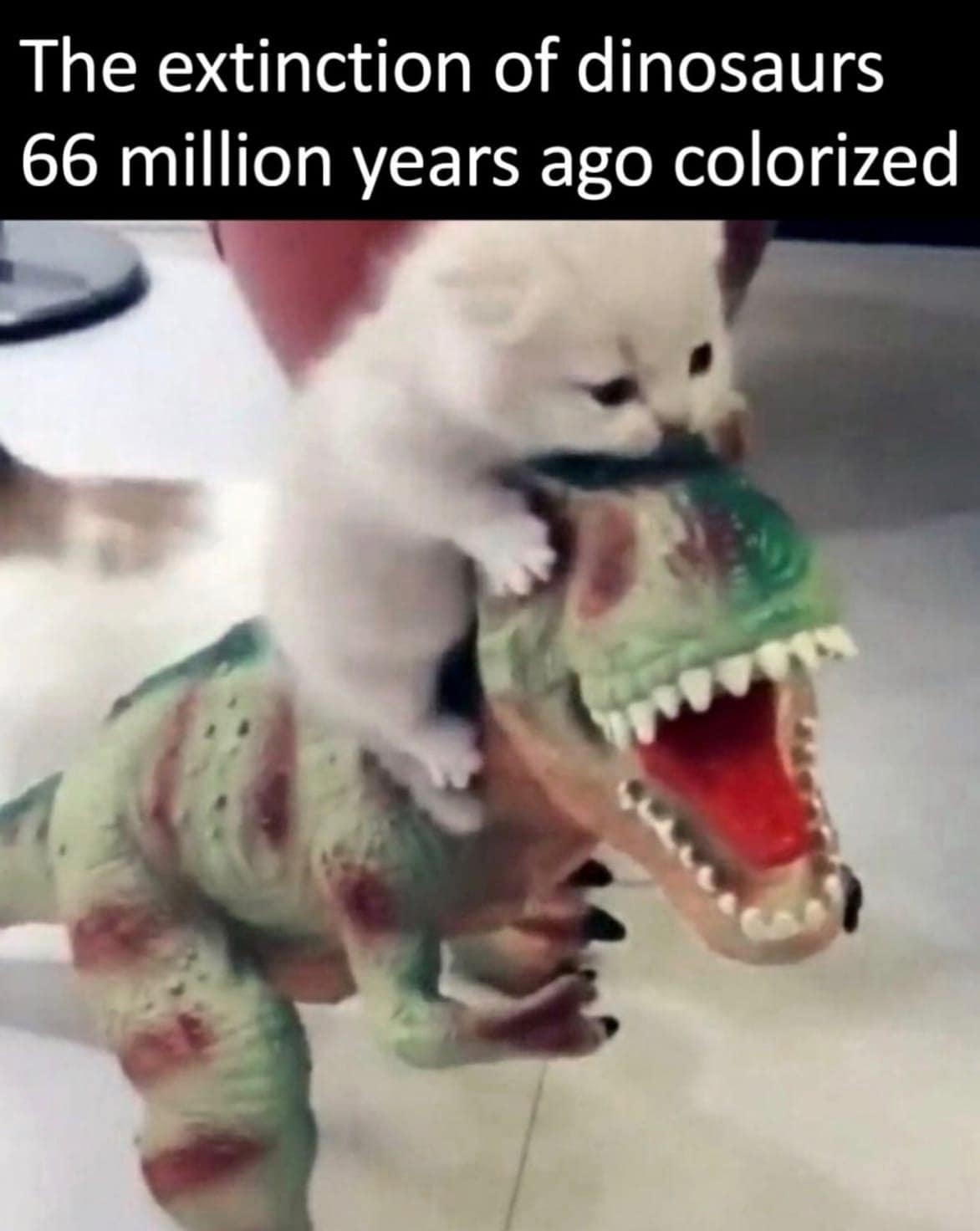 classic memes, vintage memes, viral tweets, timeless memes, iconic jokes, internet humor classics