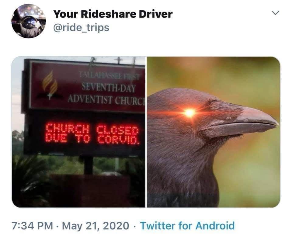 classic memes, vintage memes, viral tweets, Funny Throwback Memes, Iconic Viral Tweets, Nostalgic Internet Moments, Timeless Memes