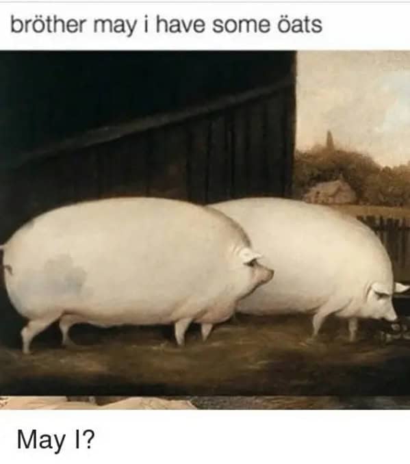 classical art memes, renaissance memes, Renaissance humor, Baroque art jokes, ancient artwork memes, art history memes