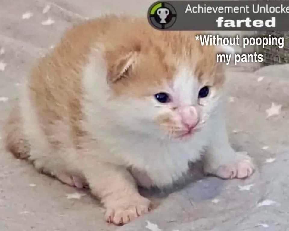 classic memes, vintage memes, viral tweets, timeless chuckles, nostalgia memes