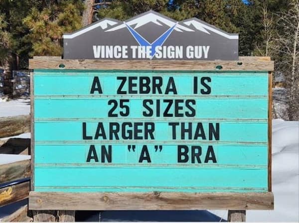 clever people. A ZEBRA IS 25 SIZES LARGER THAN AN "A" BRA