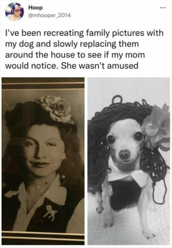 clever people. I've been recreating family pictures with my dog and slowly replacing them around the house to see if my mom would notice. She wasn't amused