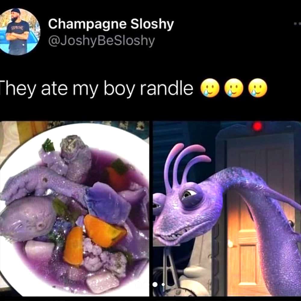 cursed food items. They ate my boy randle