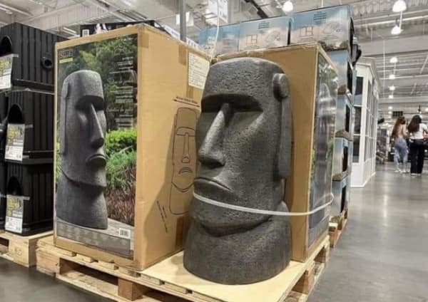 cursed images, weird photos, bizarre pictures, unsettling images, strange photos, peculiar photos, odd pictures, unusual pictures, eerie images, creepy images