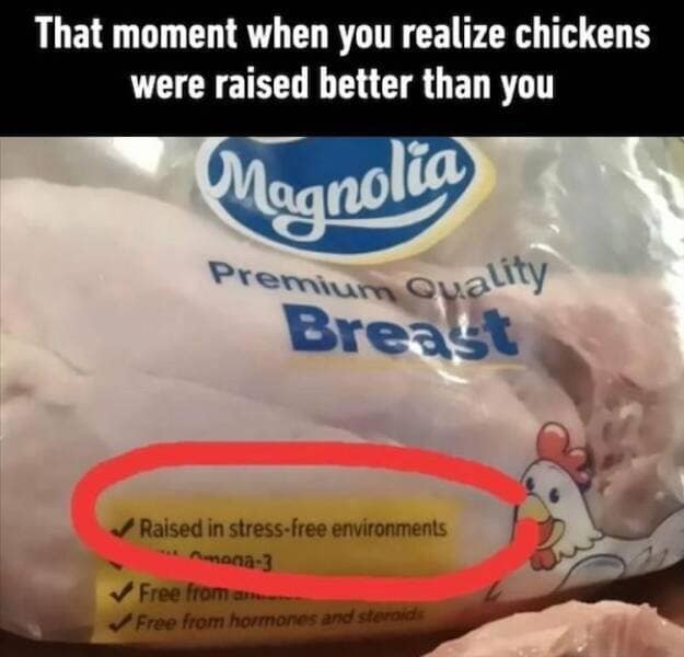 depressing memes, relatable memes, funny sad memes, bleak memes, melancholy humor