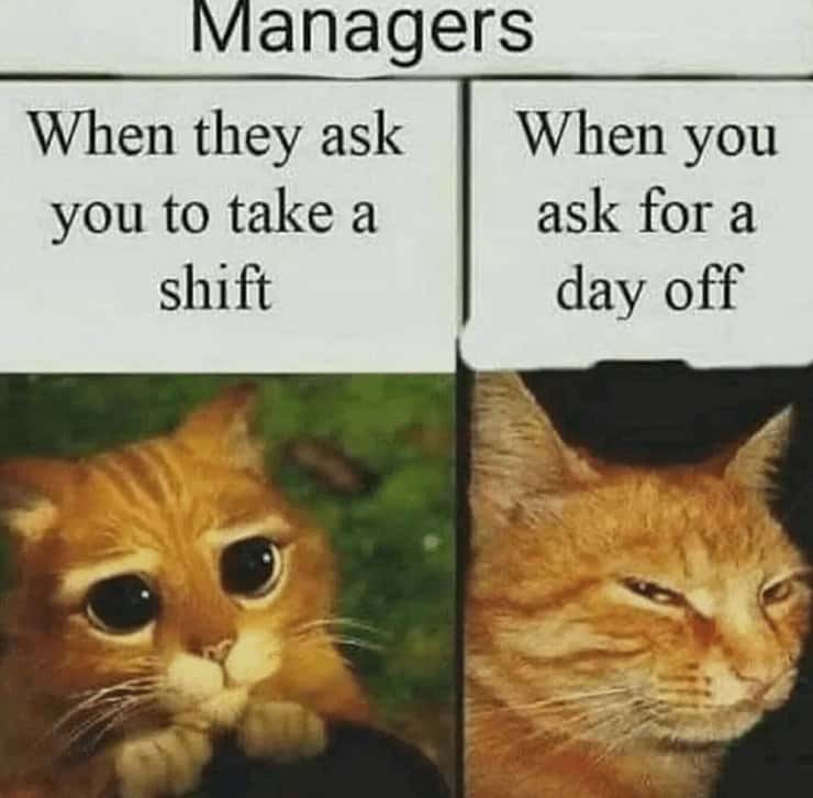 depressing memes, dark humor memes, relatable memes, funny sad memes, bleak memes, melancholy humor