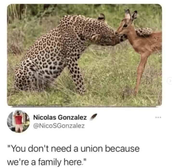 depressing memes, dark humor memes, relatable memes, funny sad memes, bleak memes, melancholy humor
