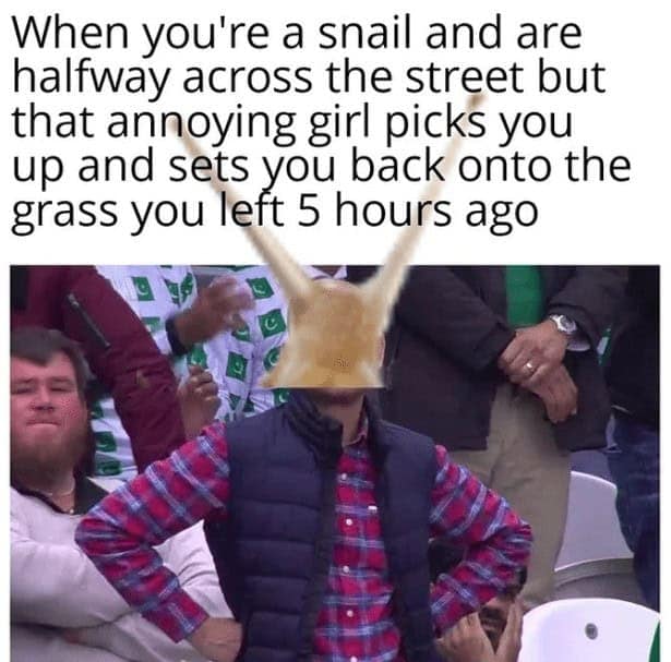 depressing memes, dark humor memes, relatable memes, funny sad memes, bleak memes, melancholy humor