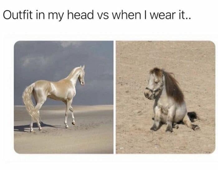 female memes. Outfit in my head vs when I wear it..