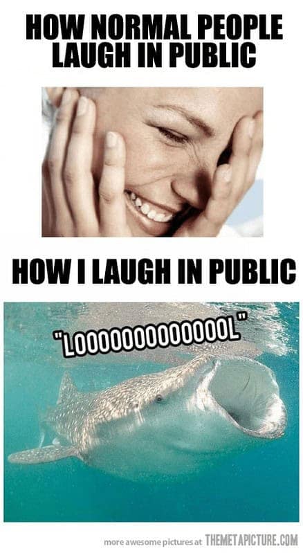 fishing memes, angler memes, summer fishing jokes, fishing humor, fishing season humor, fishing summer jokes, fishing funnies, fishing laughs