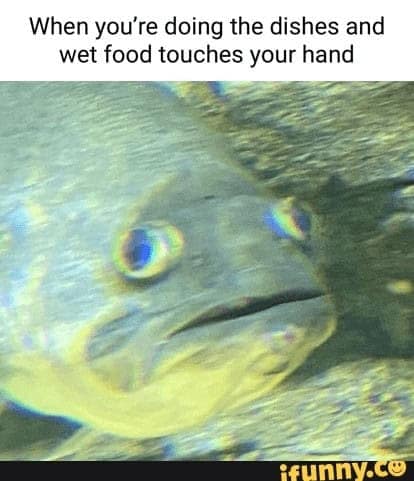 fishing memes, angler memes, summer fishing jokes, fishing humor, fishing season humor, fishing summer jokes, fishing funnies, fishing laughs