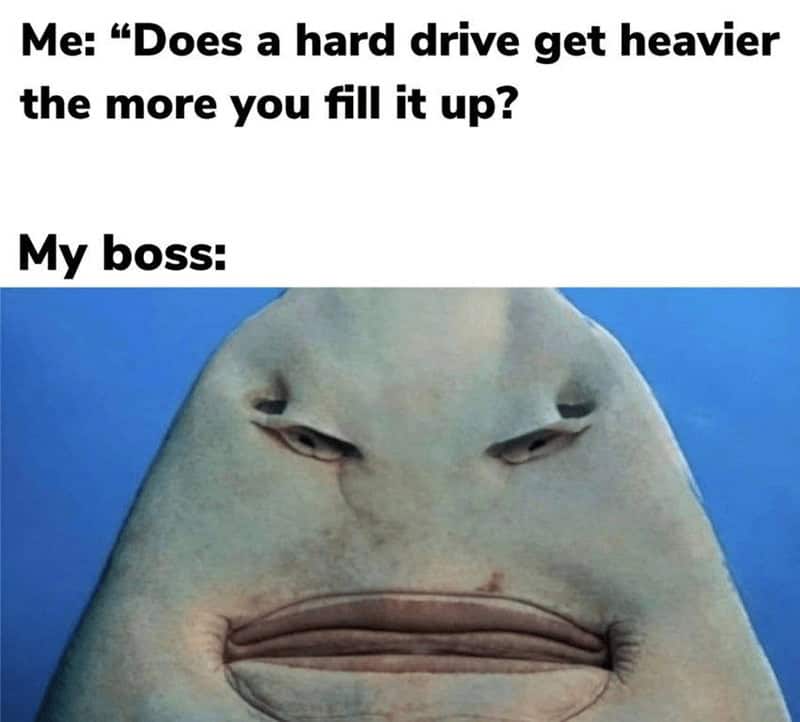 fishing memes, angler memes, summer fishing jokes, fishing humor, fishing season humor, fishing summer jokes, fishing funnies, fishing laughs