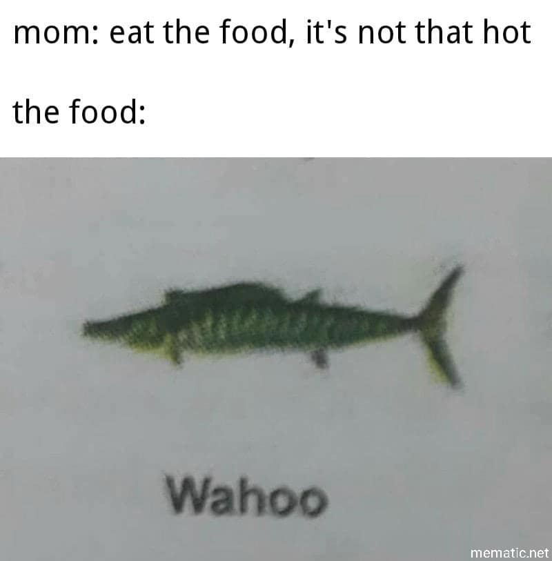 fishing memes, angler memes, summer fishing jokes, fishing humor, fishing season humor, fishing summer jokes, fishing funnies, fishing laughs