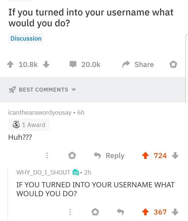 IF YOU TURNED INTO YOUR USERNAME WHAT WOULD YOU DO?