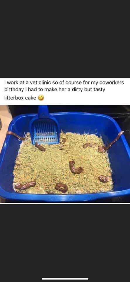 funny cakes, cake shaming