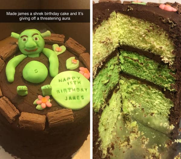 funny cakes, cake shaming