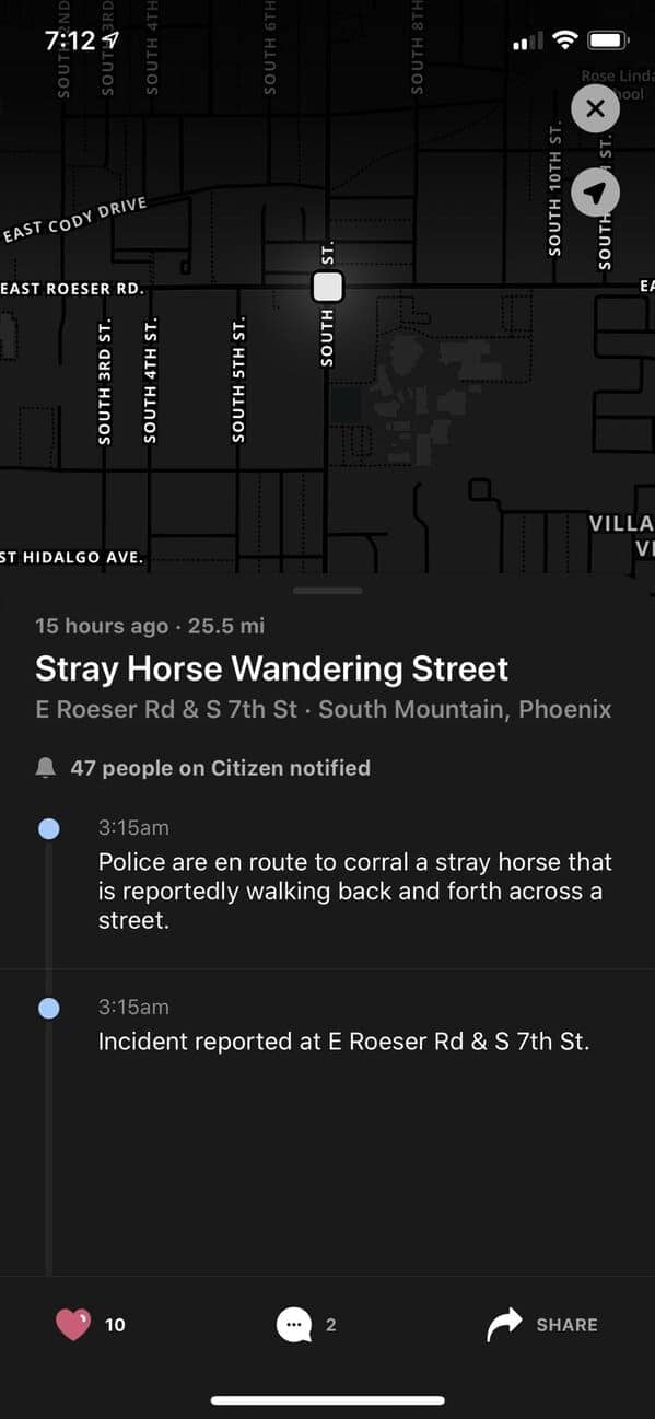 Stray Horse Wandering Street