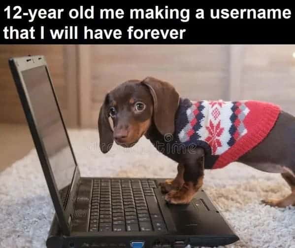 funny dog memes. 12-year old me making a username that I will have forever