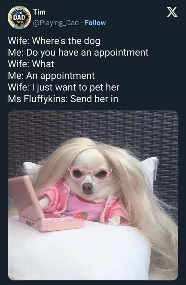 funny dog memes. Wife: Where's the dog Me: Do you have an appointment Wife: What Me: An appointment Wife: I just want to pet her Ms Fluffykins: Send her in