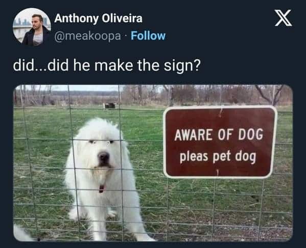 funny dog memes. did...did he make the sign?