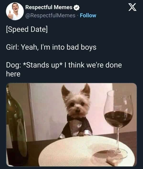 funny dog memes. [Speed Datel Girl: Yeah, I'm into bad boys Dog: *Stands up* I think we're done here