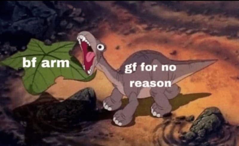 funny girlfriend memes. bf arm gf for no reason
