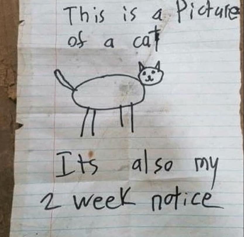 funny pics, funny memes, funny photos, funniest pics