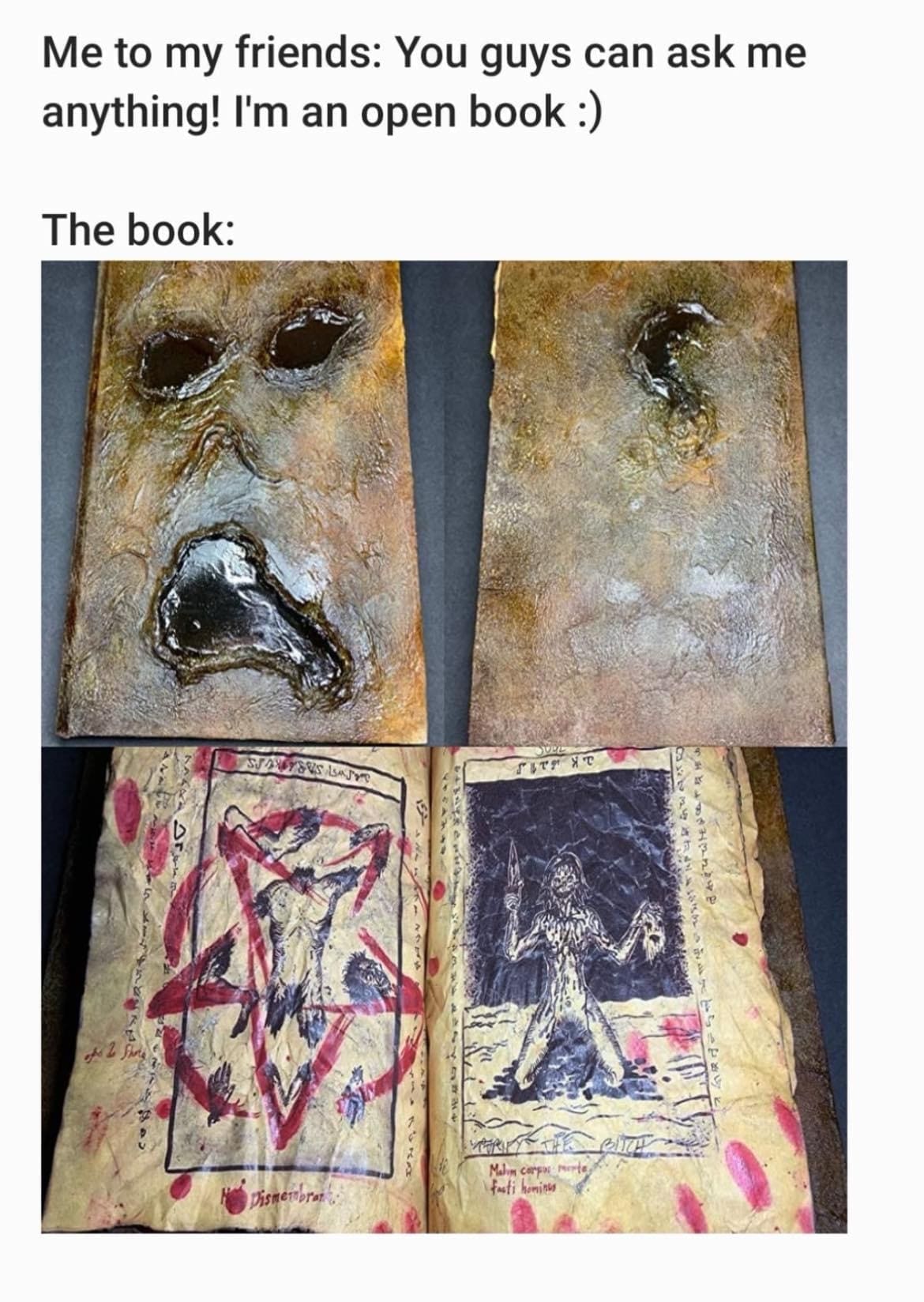 funny images, funny pics, funniest memes