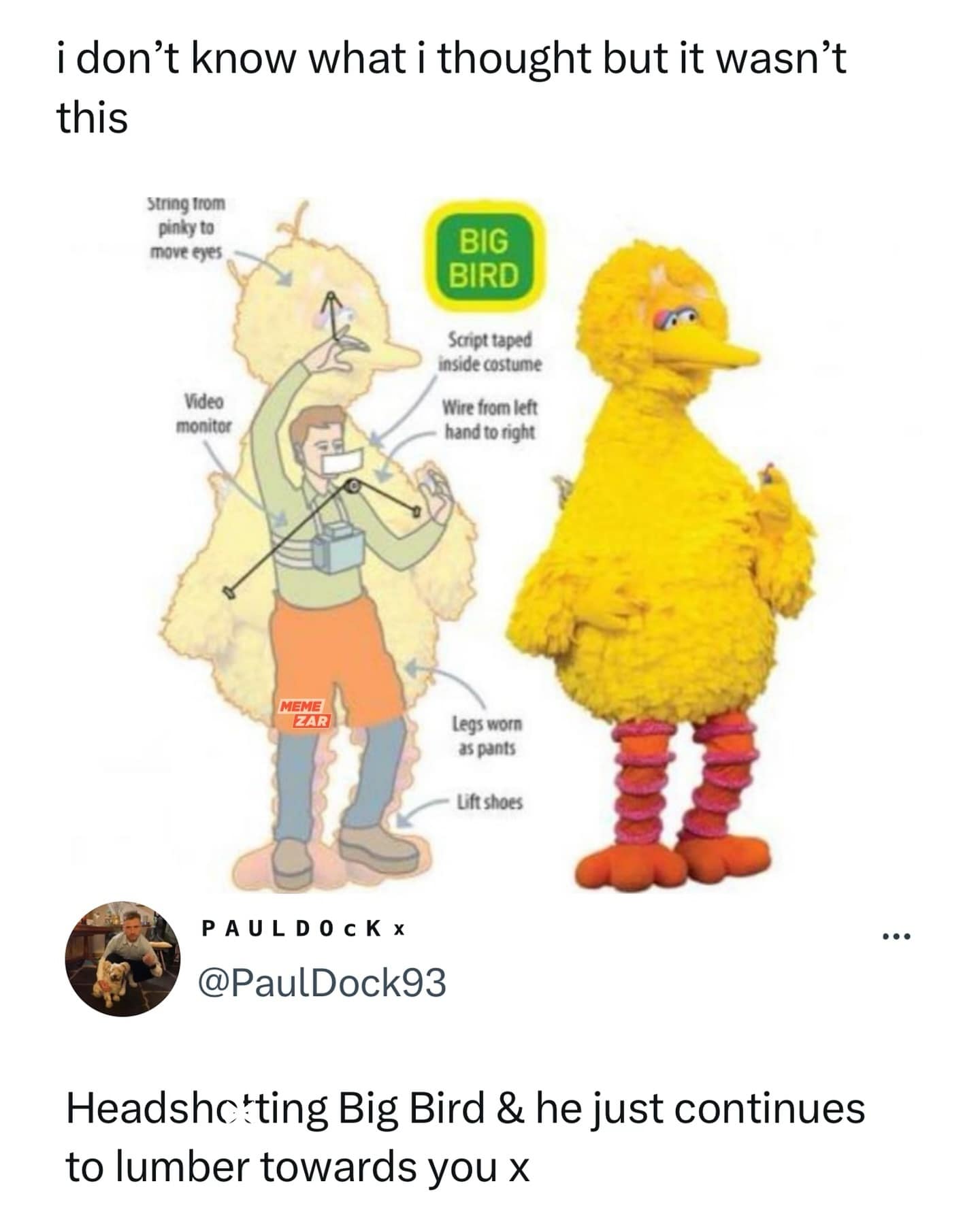 funny memes. i don't know what i thought but it wasn't this