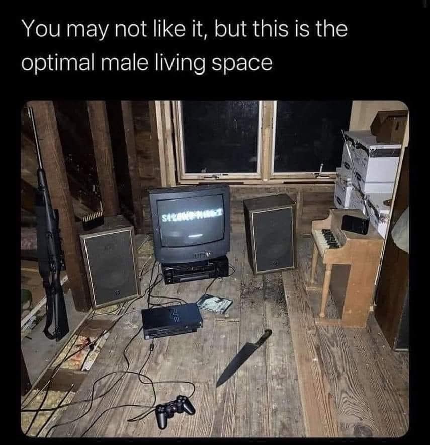 funny memes, funny images, funny pics, hilarious memes