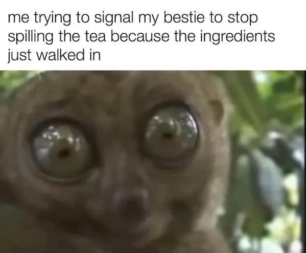 funny memes. me trying to signal my bestie to stop spilling the tea because the ingredients just walked in