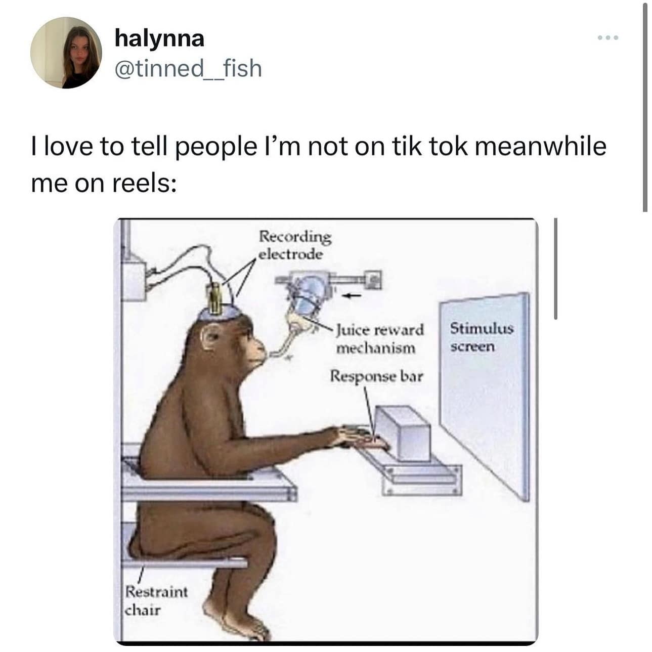 funny memes. I love to tell people I'm not on tik tok meanwhile me on reels: