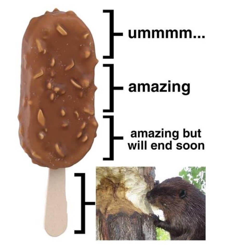 funny memes.