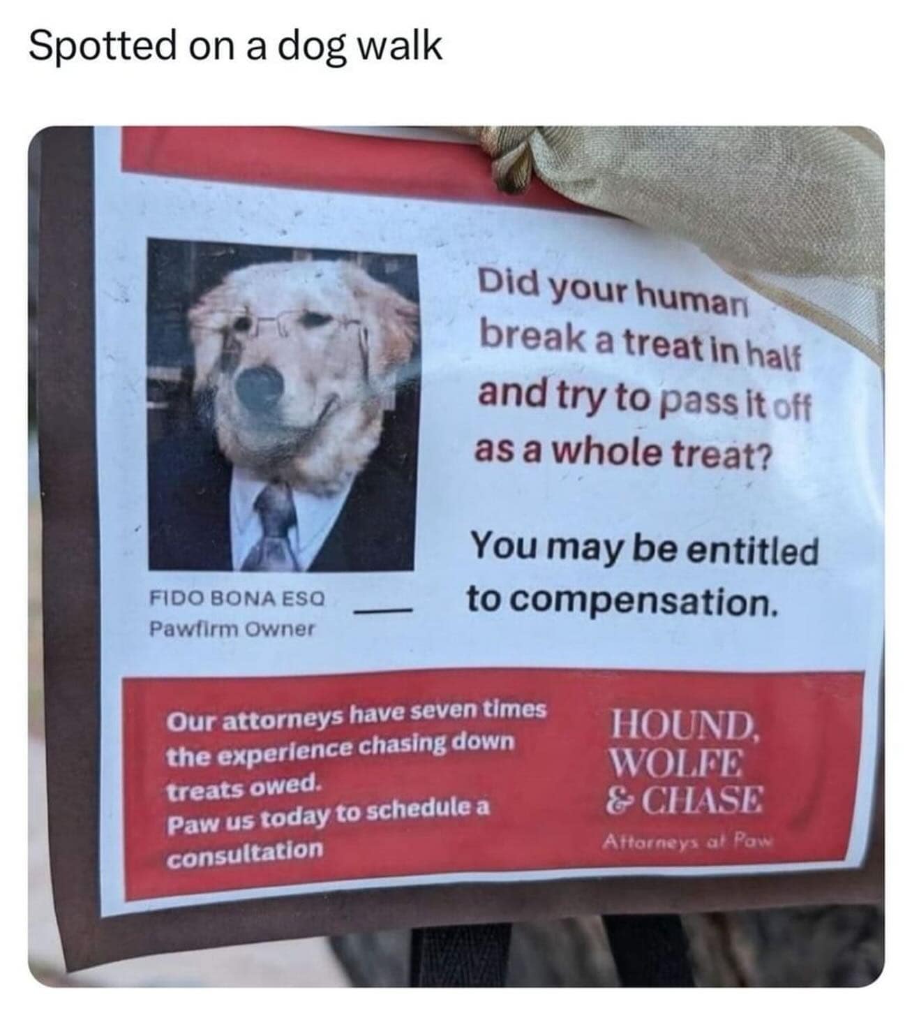 funny memes. Spotted on a dog walk