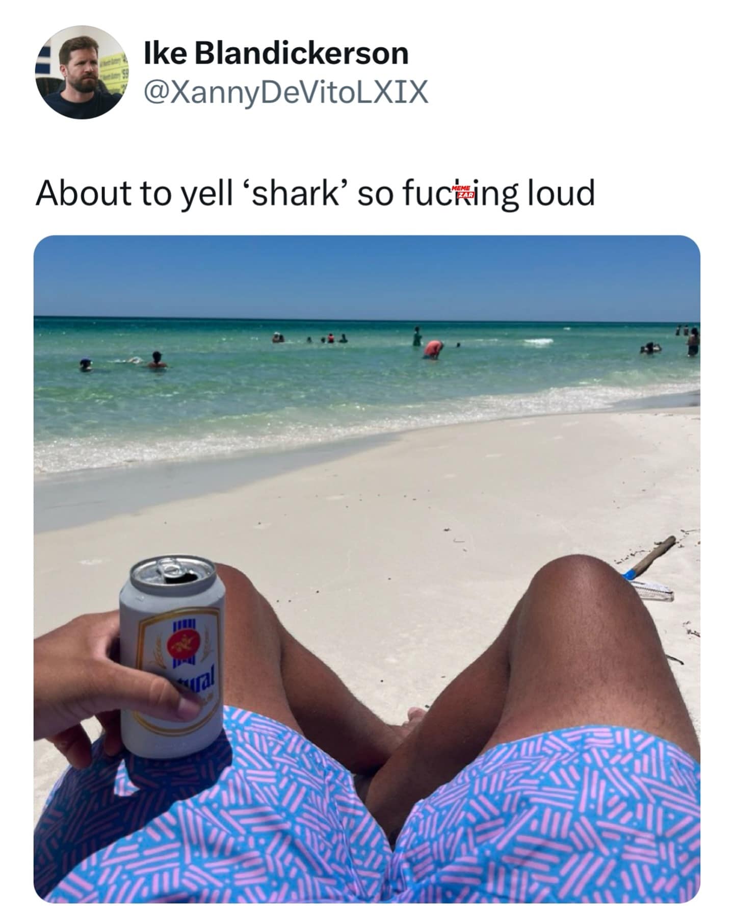 funny memes. About to yell 'shark' so loud