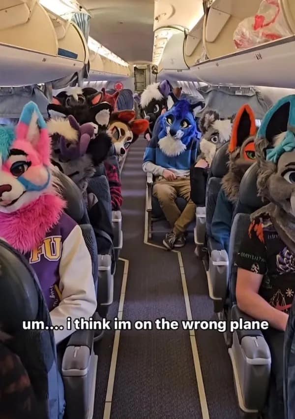 funny memes. um... i think im on the wrong plane. Furries