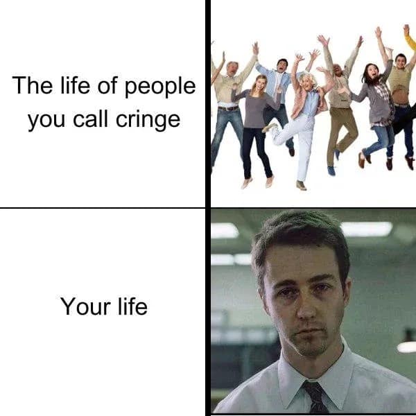 funny memes. The life of people you call cringe Your life