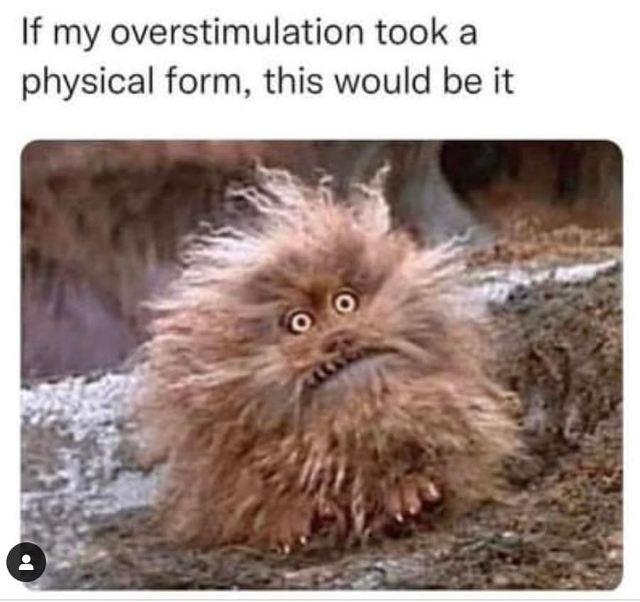 funny memes, funny images, funny pics, hilarious memes