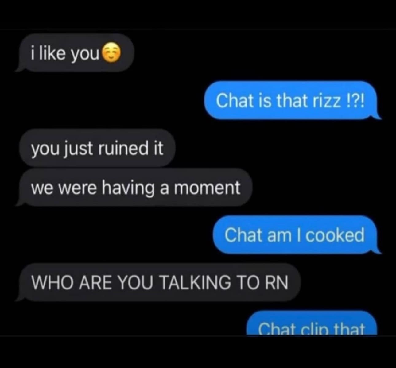 funny memes. i like you Chat is that rizz !?! you just ruined it we were having a moment WHO ARE YOU TALKING TO RN Chat am I cooked Chat clin that