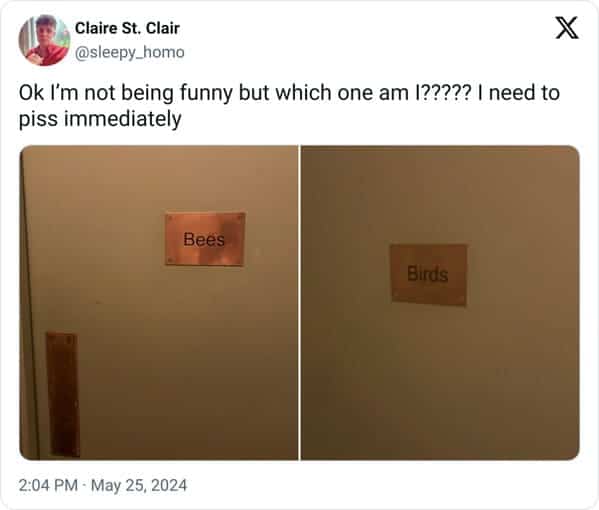 funny memes. Ok I'm not being funny but which one am I????? I need to piss immediately